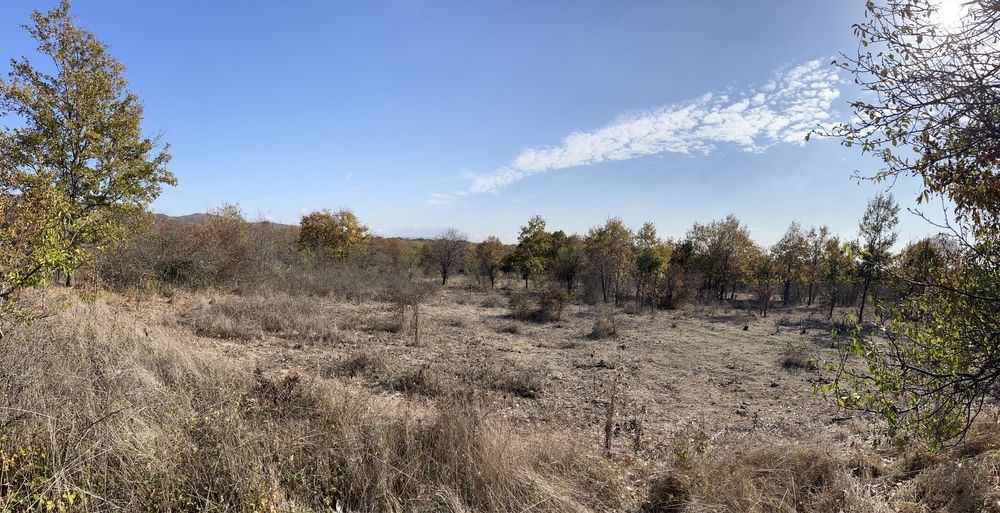 Продава се Парцел в с. Росен, Област Бургас - 1118 кв.м за 25 €/кв.м - Снимка #7