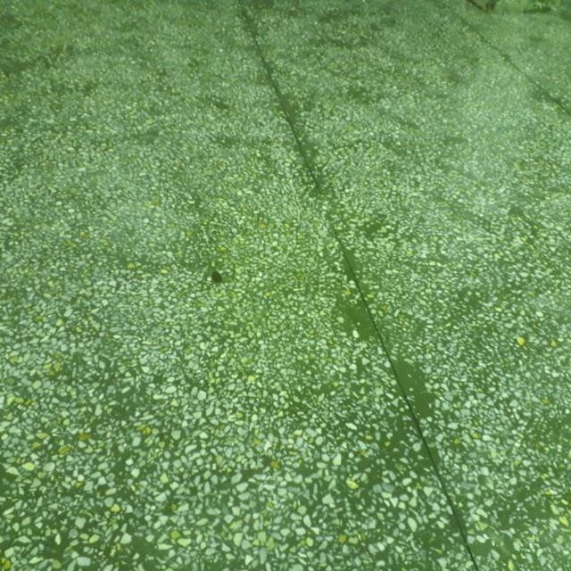 Мазайка ва Верталйот