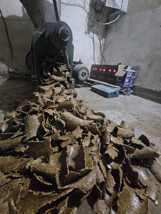 Chigit kunjara optom