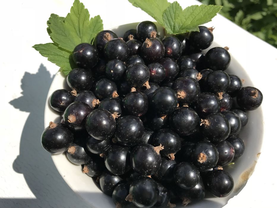 Варенье из черной смородины с сахаром