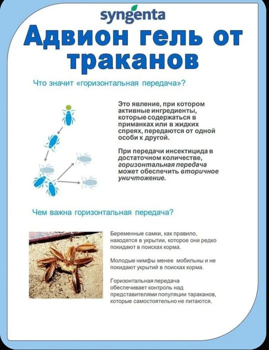 Advion Gel  USA от тараканов без запаха