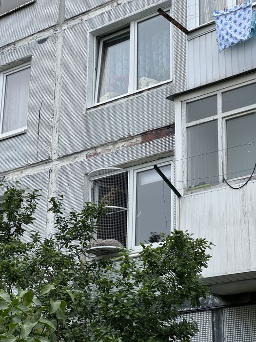 Балкон для кошек