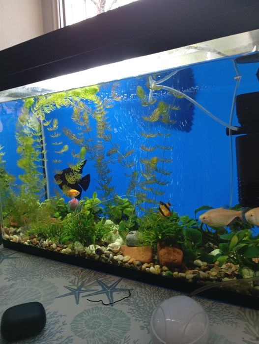 Продам аквариум 60 литров