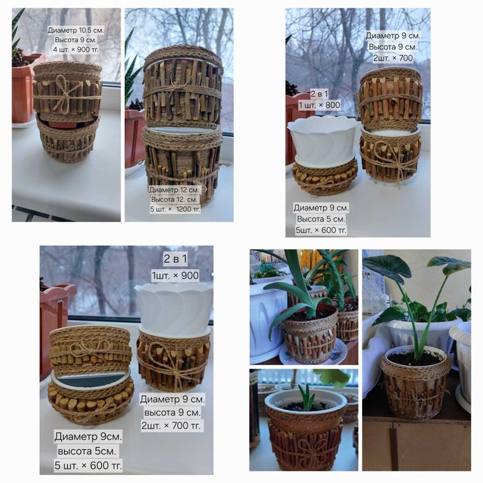 Комнатные растения