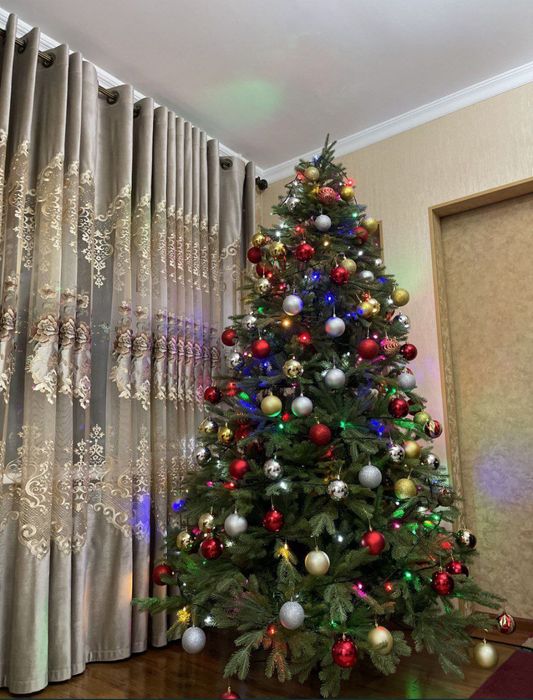 Ёлка Сибирь привозная импорт