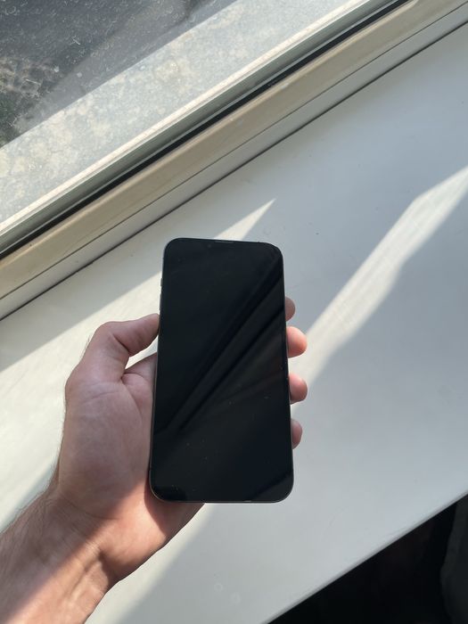 Iphone 13 pro max ideal