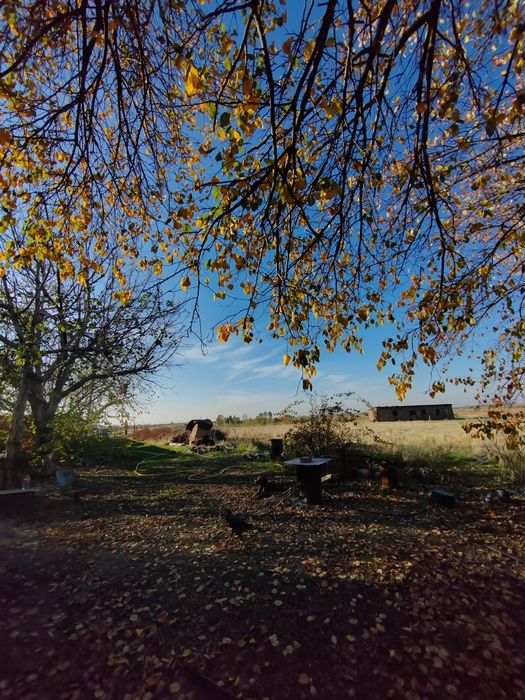 Дачный участок с рыбным хозяйством