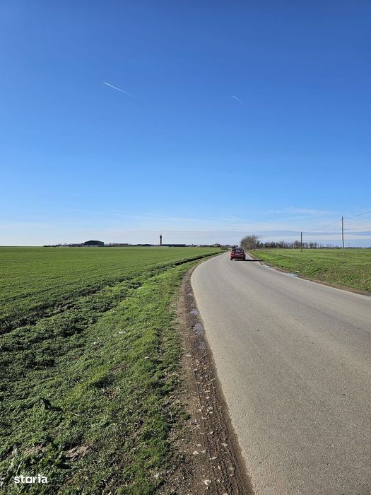 Teren extravilan 8600 mp Livada de Bihor