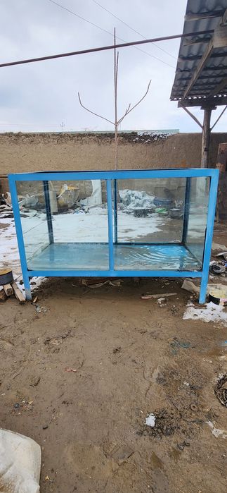 Akvarium baliq uchun