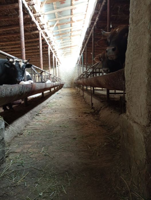 Участка сотилади