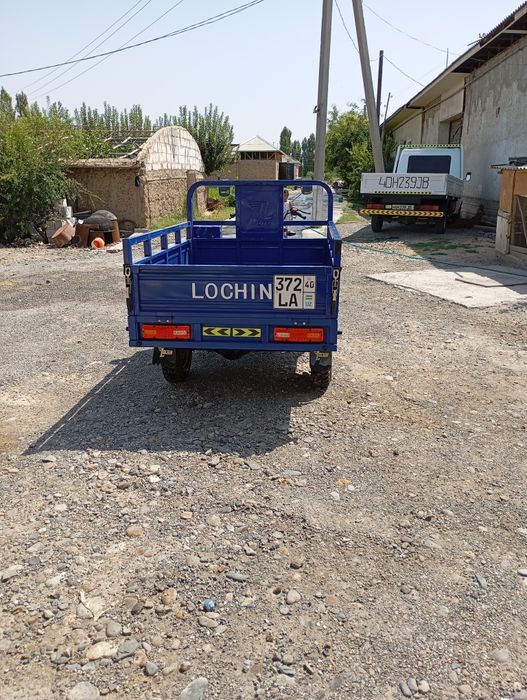 Matasikil bortli