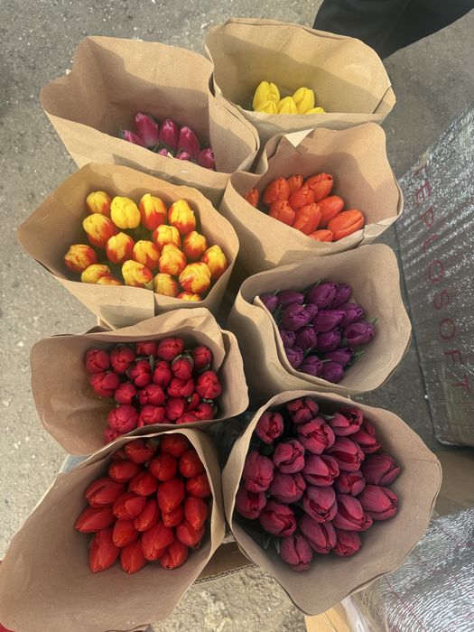 Тюльпаны оптом Алматы