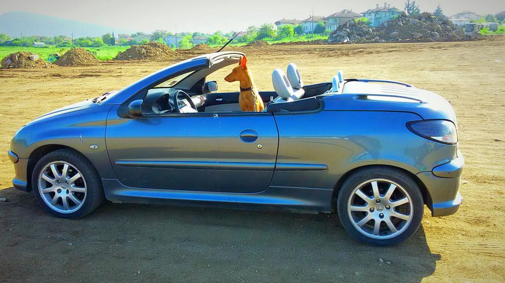 Peugeot 206 CC 1,6 HDI Allure