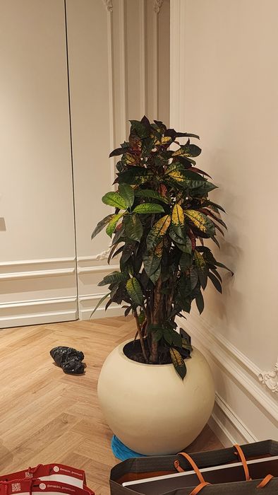 Уход за растениями