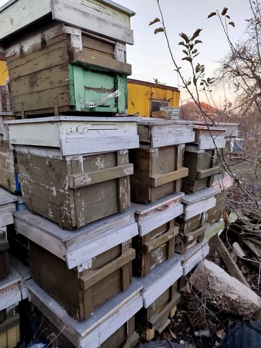 Кошери магазини тенекии