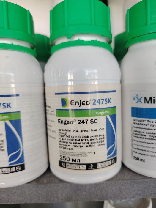 Энджо 247Sk Syngenta