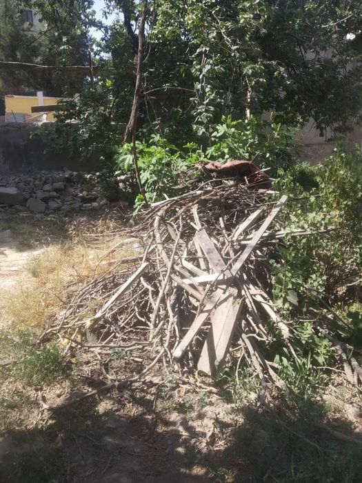 Дрова бесплатно, самовывоз с горького