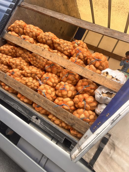 Cartofi consum de cv