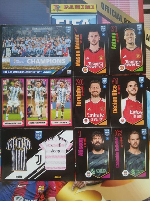 Наклейки panini 2024