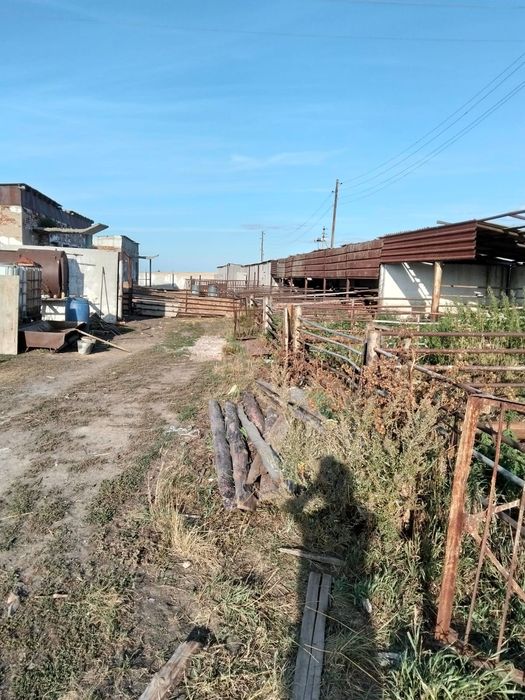 Продам ферму с.Никитинка, Мендыкаринский район.