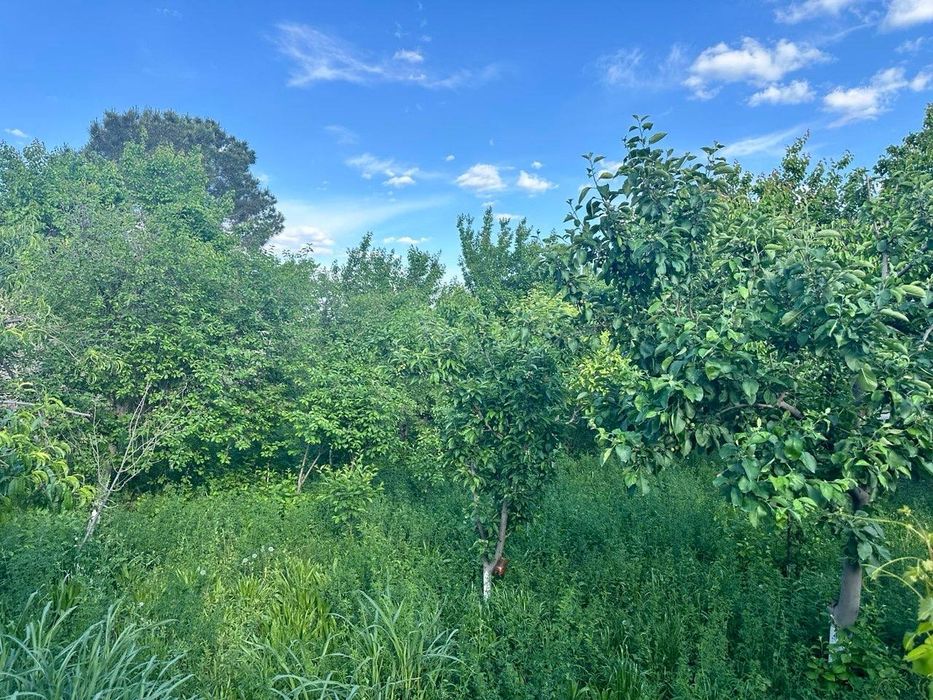 Ховли сотилади Hovli sotiladi