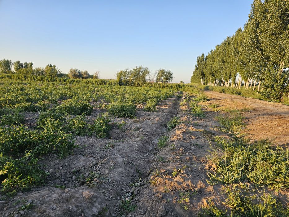 Продаётся  бизнес