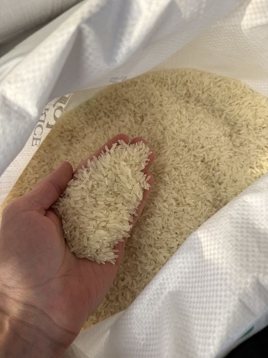 Рис хорезм лазер высший сорт