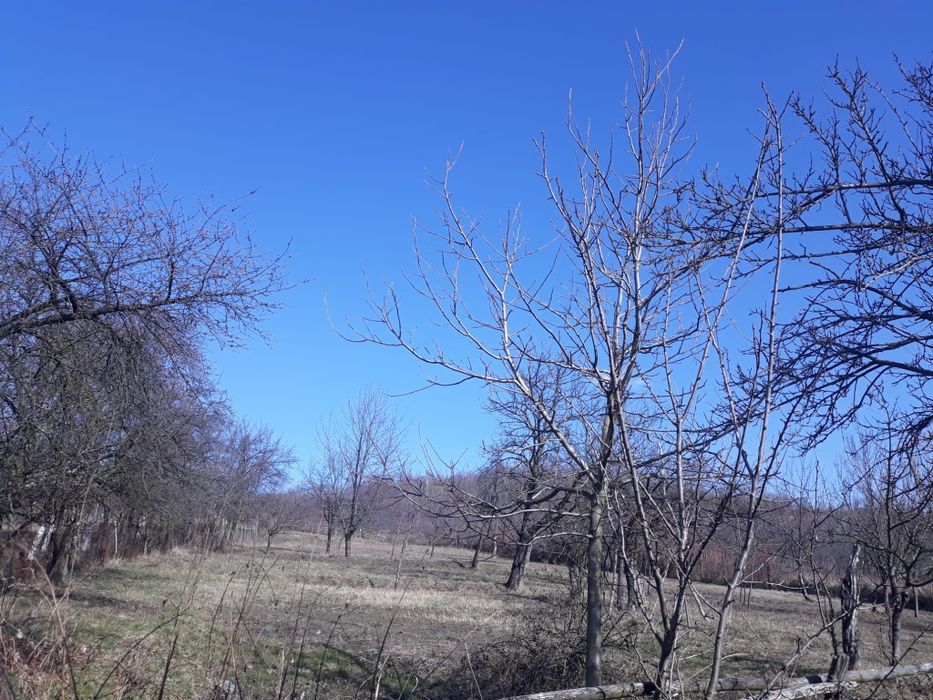 Vand  casa  comuna  popesti bihor