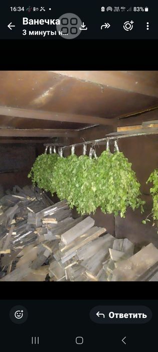 Продам берёзовые веники