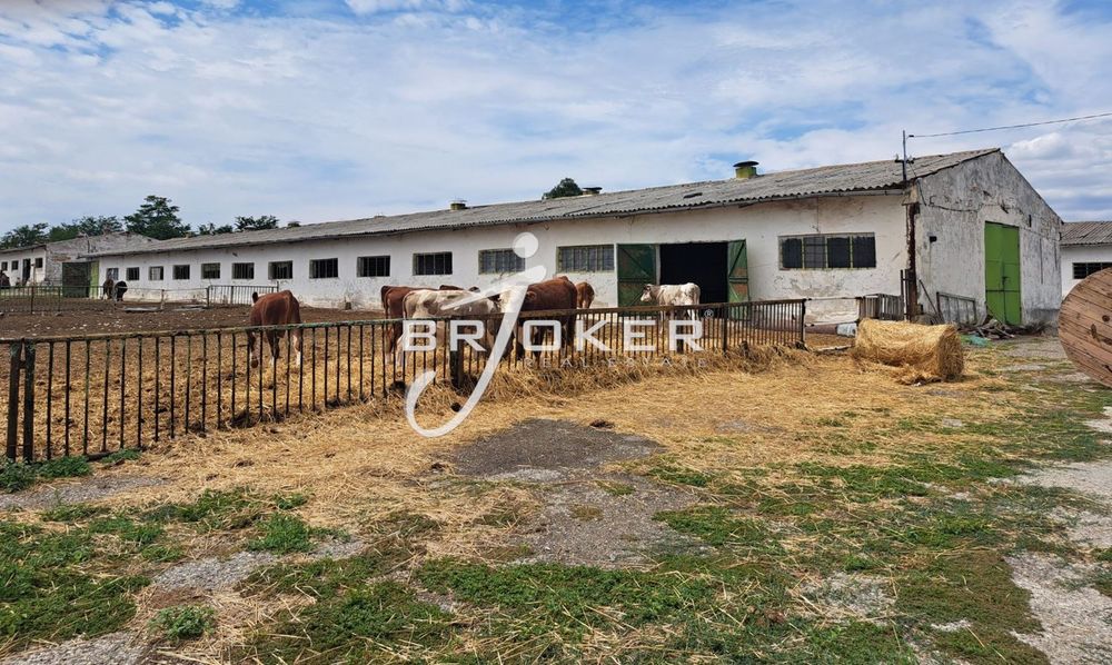 Пром. помещение в Добрич, област-с.Честименско