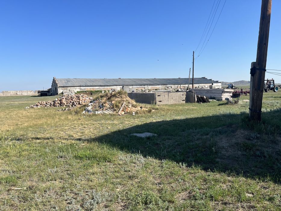 Продается хозяйство