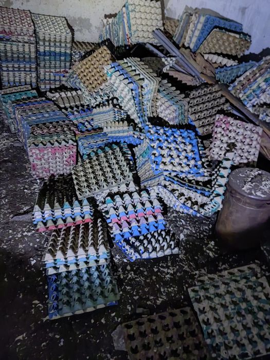 Ячейки для яиц Пластиковые