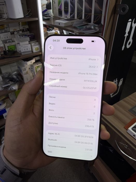 iPhone 16 Pro Max / 256Gb / 100%