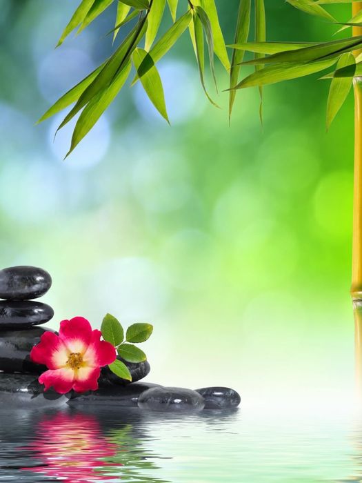 Жеңілдікпен массаж