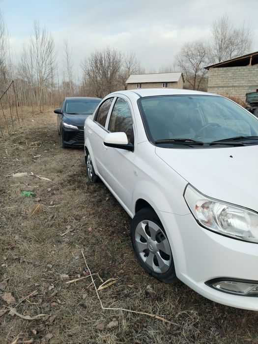 Nexia 3 xamma kraskasi radnoy