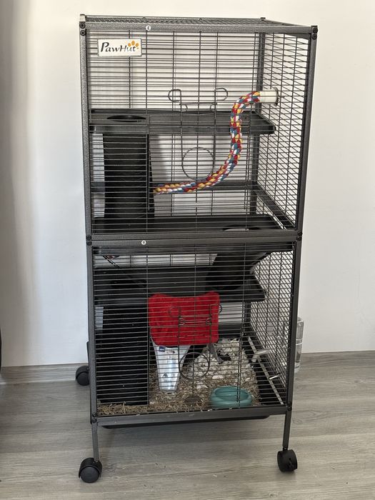 Pachet Complet Șobolani de Companie (Cușcă, Accesorii, Hrană + 2 Șobolani)