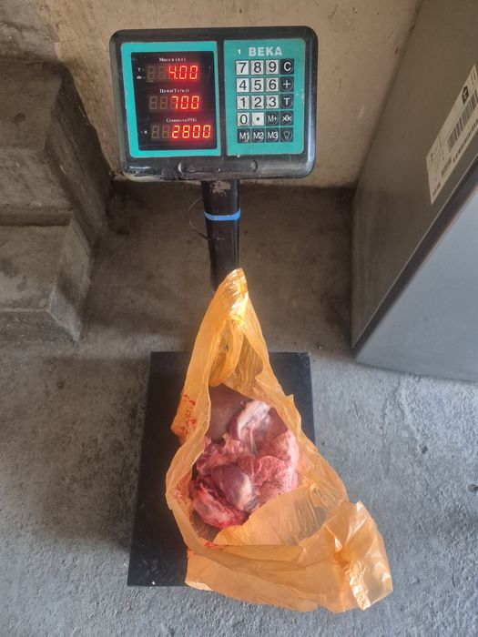 Продам свинину молодую