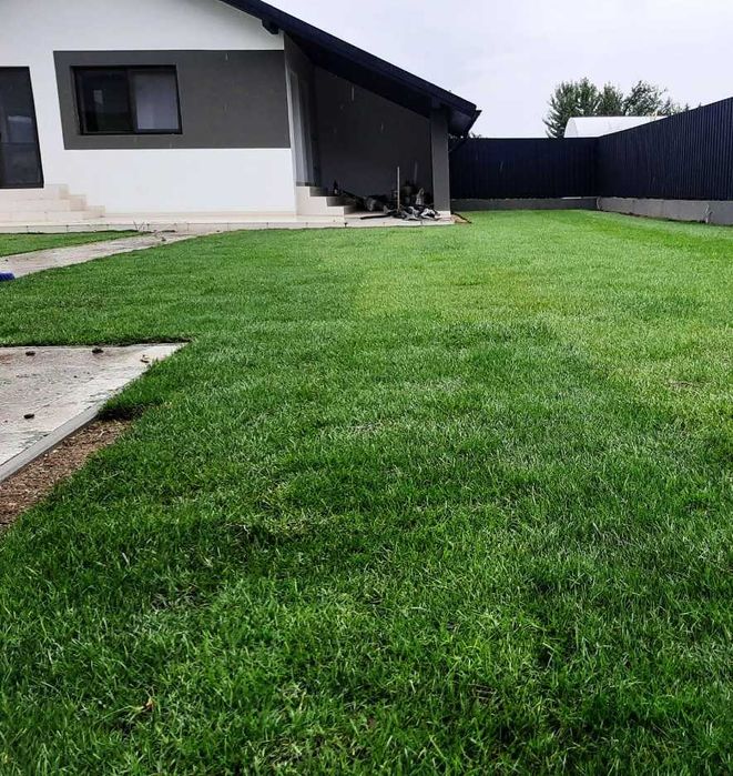 Gazon Rulou Dens și Rezistent – Ideal pentru Curți sau Grădini