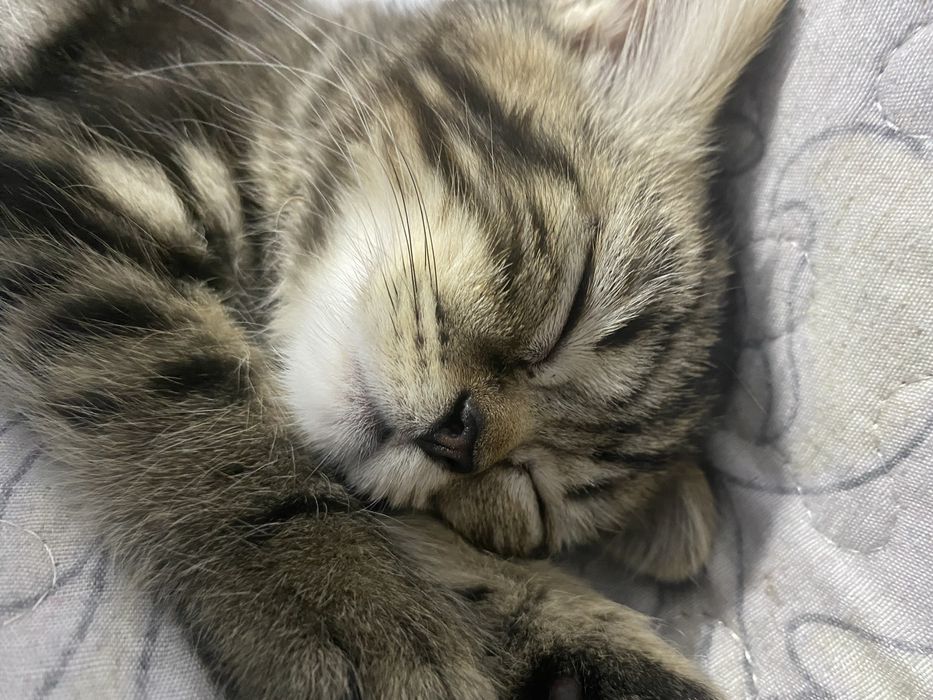 4 месячный мальчик