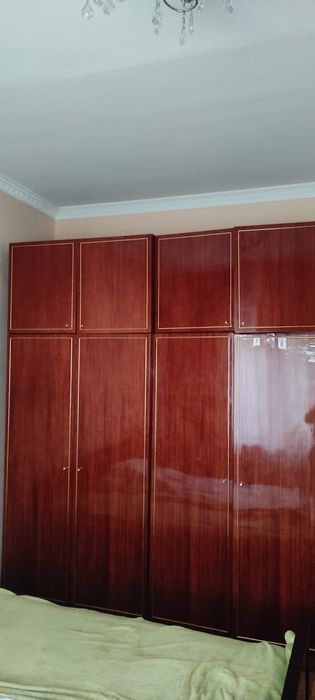 Шивонер большой советский