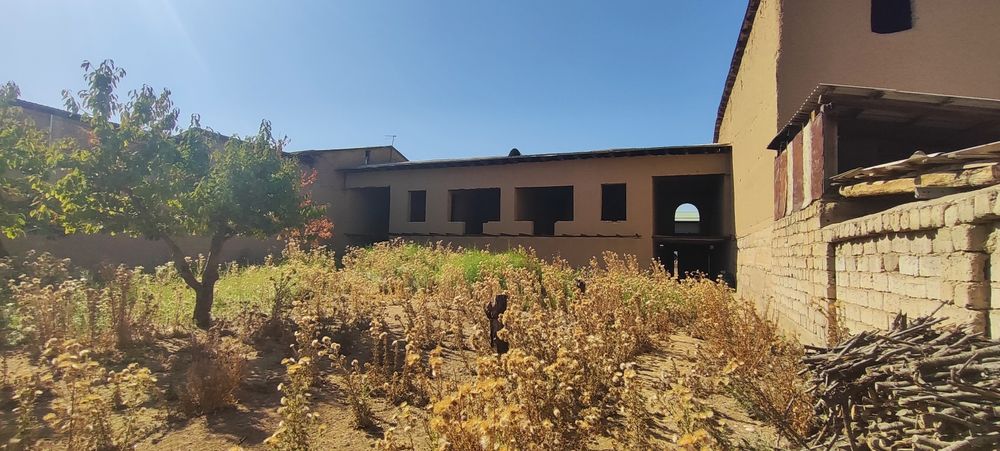 Ижарага ховли (уй)