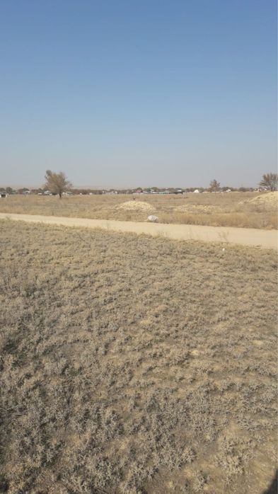 Земля заречный 24сотки торг