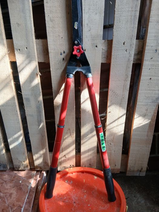 Foarfecă telescopica gard viu