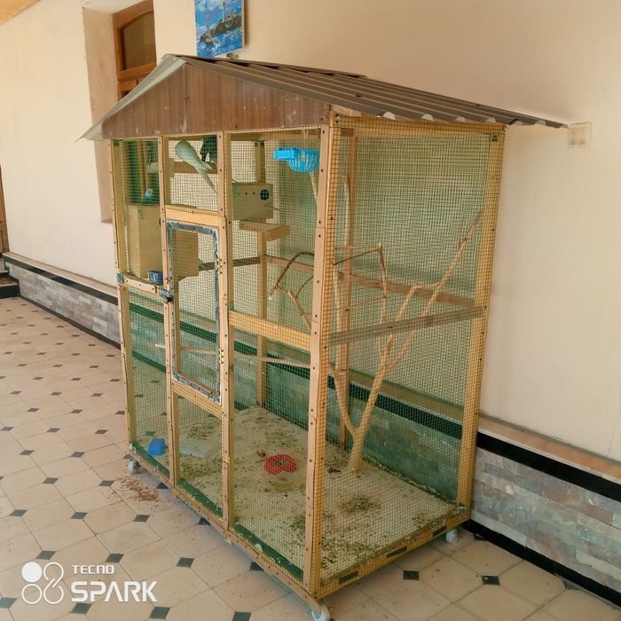 Valer. Qushlari bilan