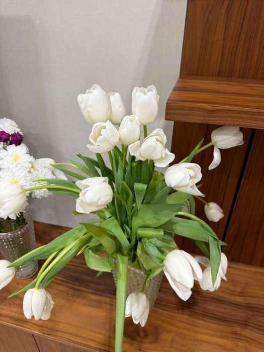 Свежие 19 огромных тюльпана