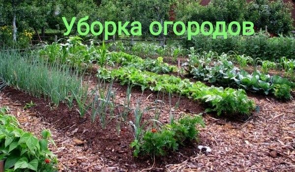 Уборка  подьездов и предворовых территорий