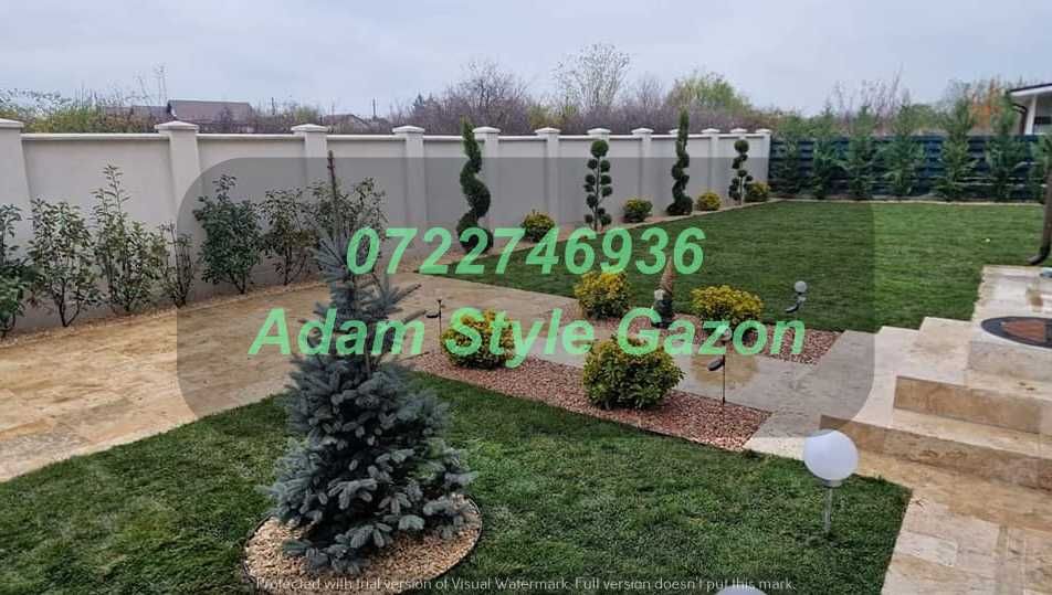 Gazon Profesional pentru Amenajări Premium