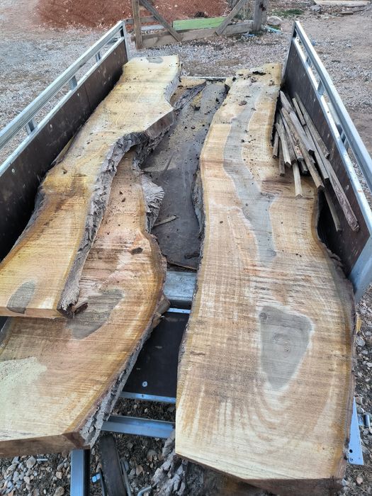 Орех разбичен на янове