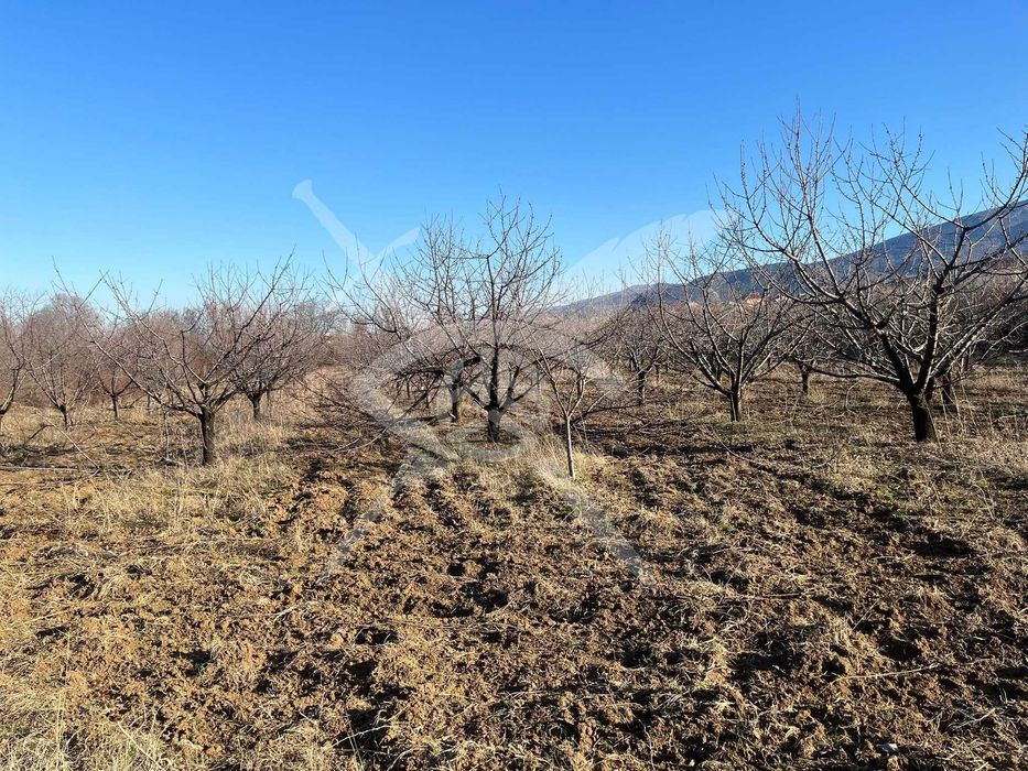 Парцел в Брестник 40118