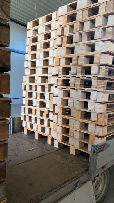 Vand paleti non euro